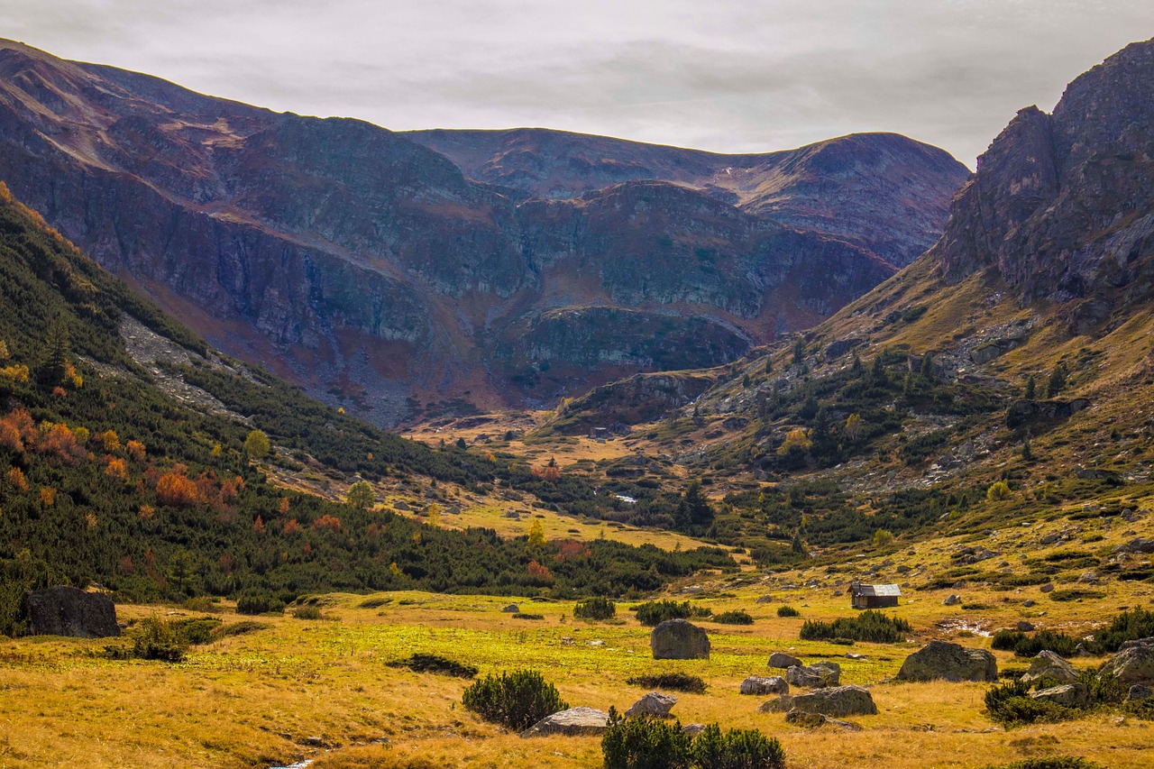Appeal sensation – **Élan Lo-Fi Électrisant et Sensoriel comme une Déferlante d’Émotions Vibratoires