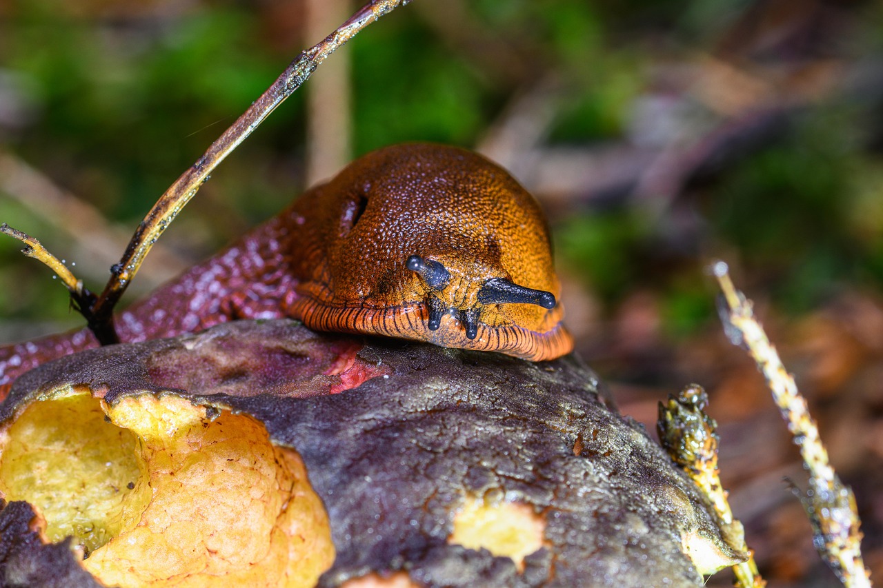 La main tendue – **Échappée Lo-Fi Humaniste et Réconfortante comme un Souffle d’Espoir Universel**