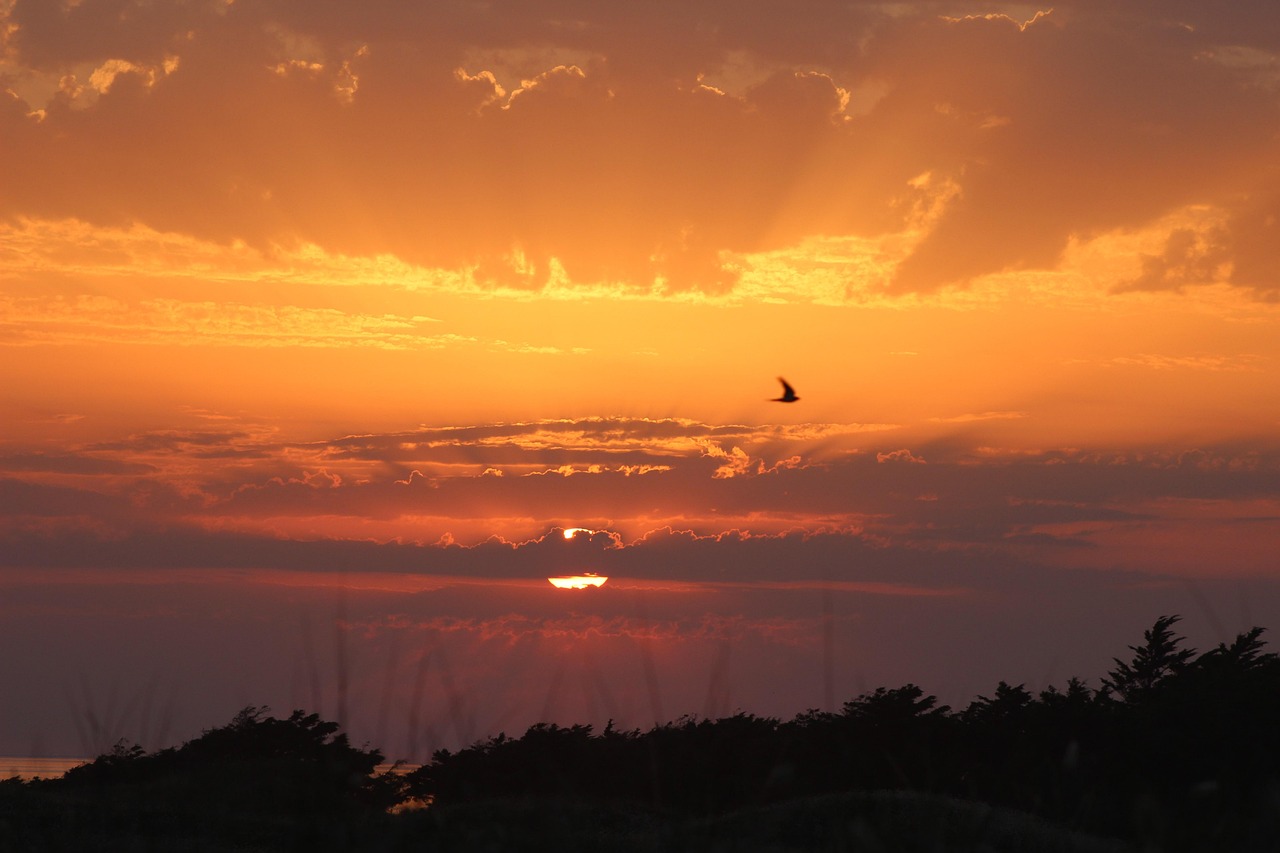Night dream – **Échappée Lo-Fi Nocturne et Onirique comme une Étincelle de Rêves Étoilés**