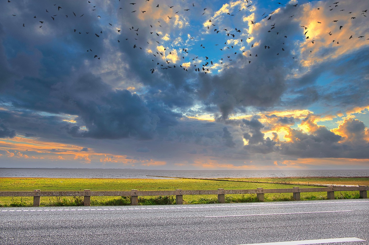 Sea blues – **Abysse Lo-Fi Hypnotique et Mélancolique comme un Chant des Océans Éternels**