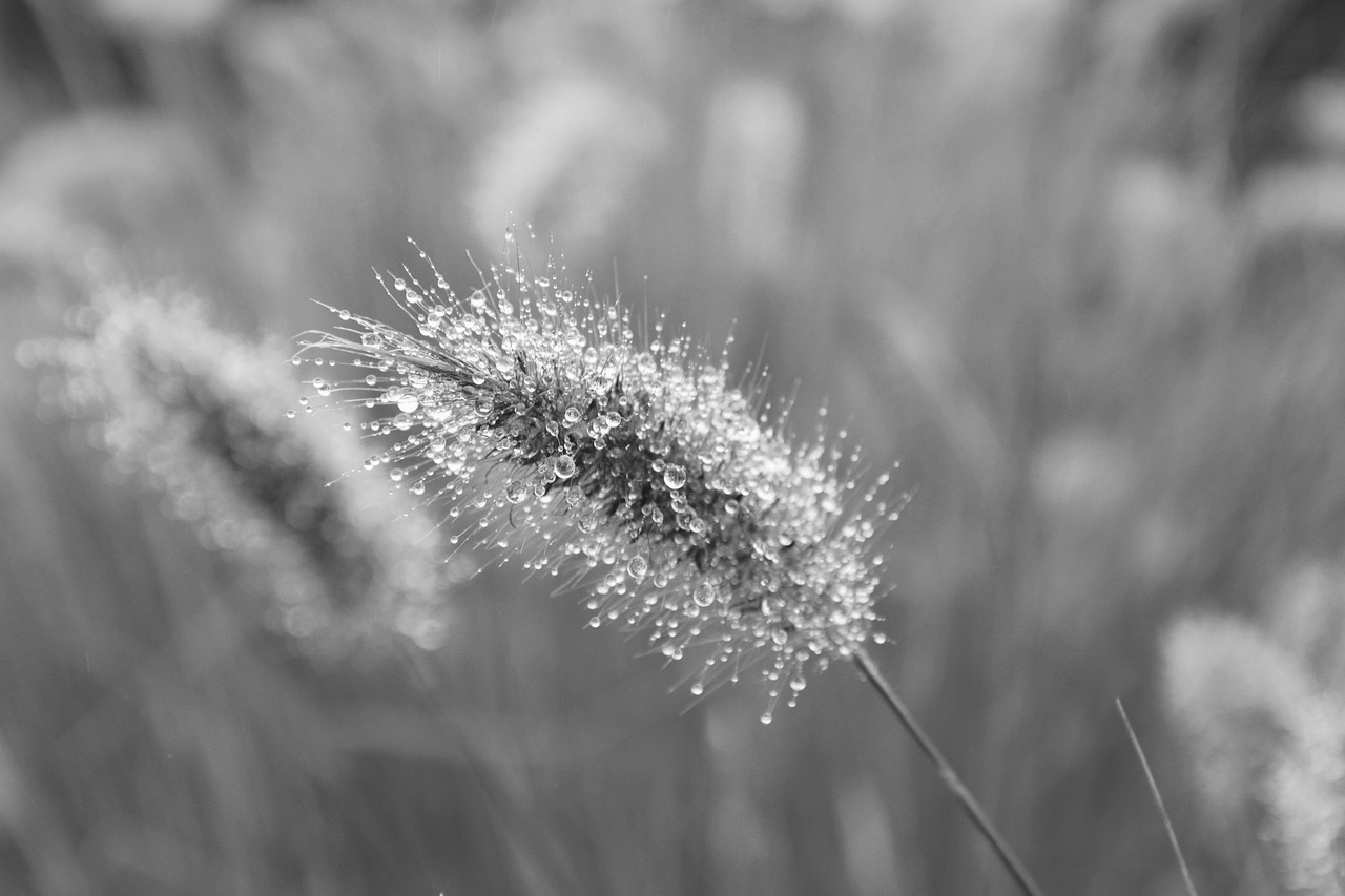 Sea Blues – Ambiance Lo-Fi