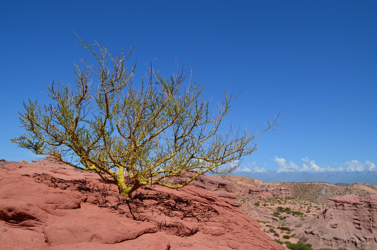 Sea blues – **Mélancolie Lo-Fi Océanique et Hypnotique comme un Souffle d’Abysses Éternels**