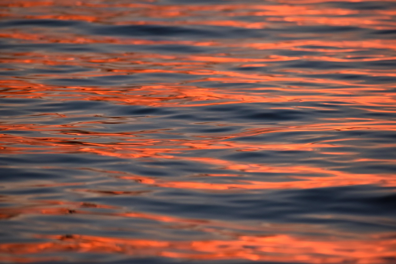 solitude – **Échappée Lo-Fi Nébuleuse et Consolatrice comme un Souffle d’Éternité Isolée**