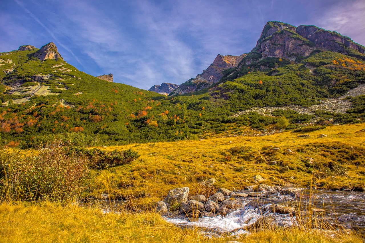 Stars in night sky – **Odyssée Lo-Fi Sidérale et Éthérée comme une Symphonie d’Astres Oniriques**