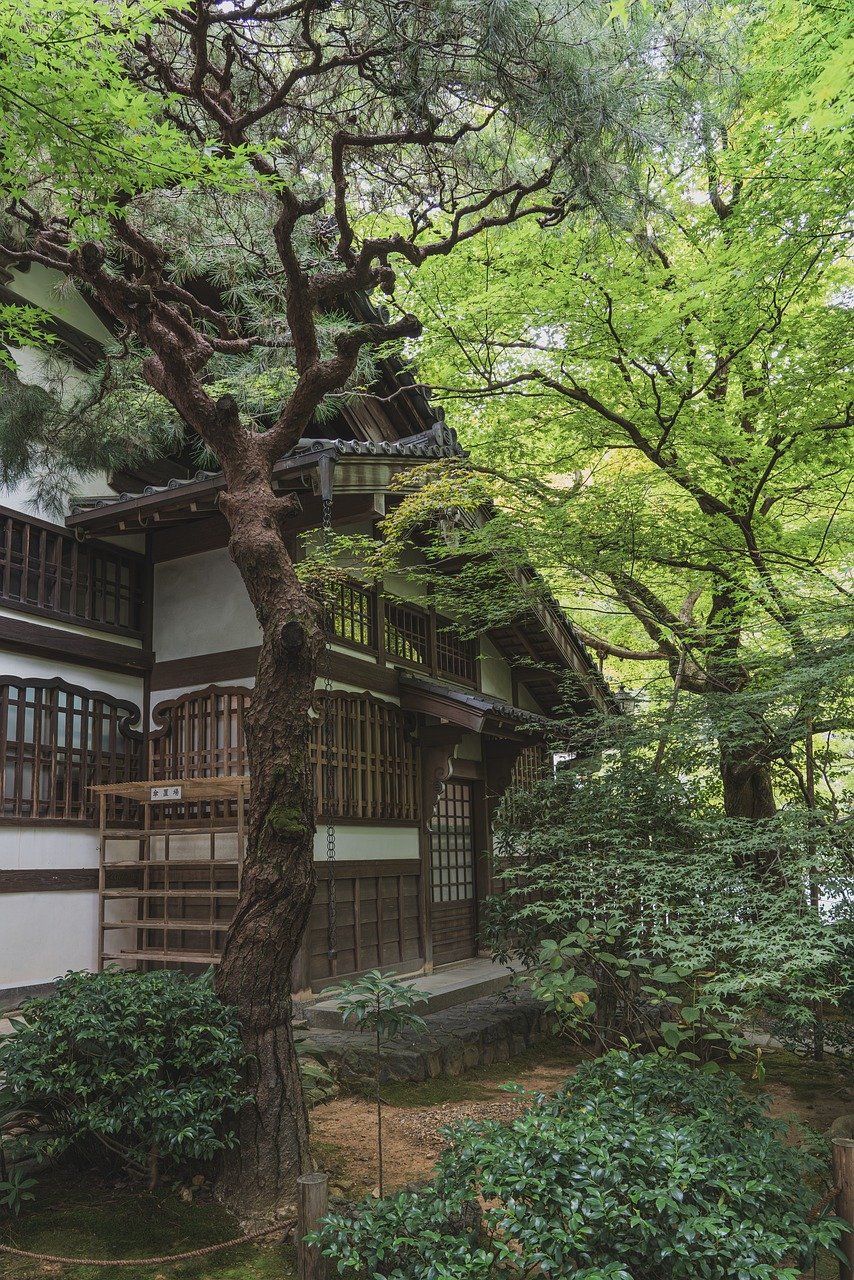 Summer dream – **Mirage Lo-Fi Estival et Envoûtant comme une Brise de Nostalgie Dorée**