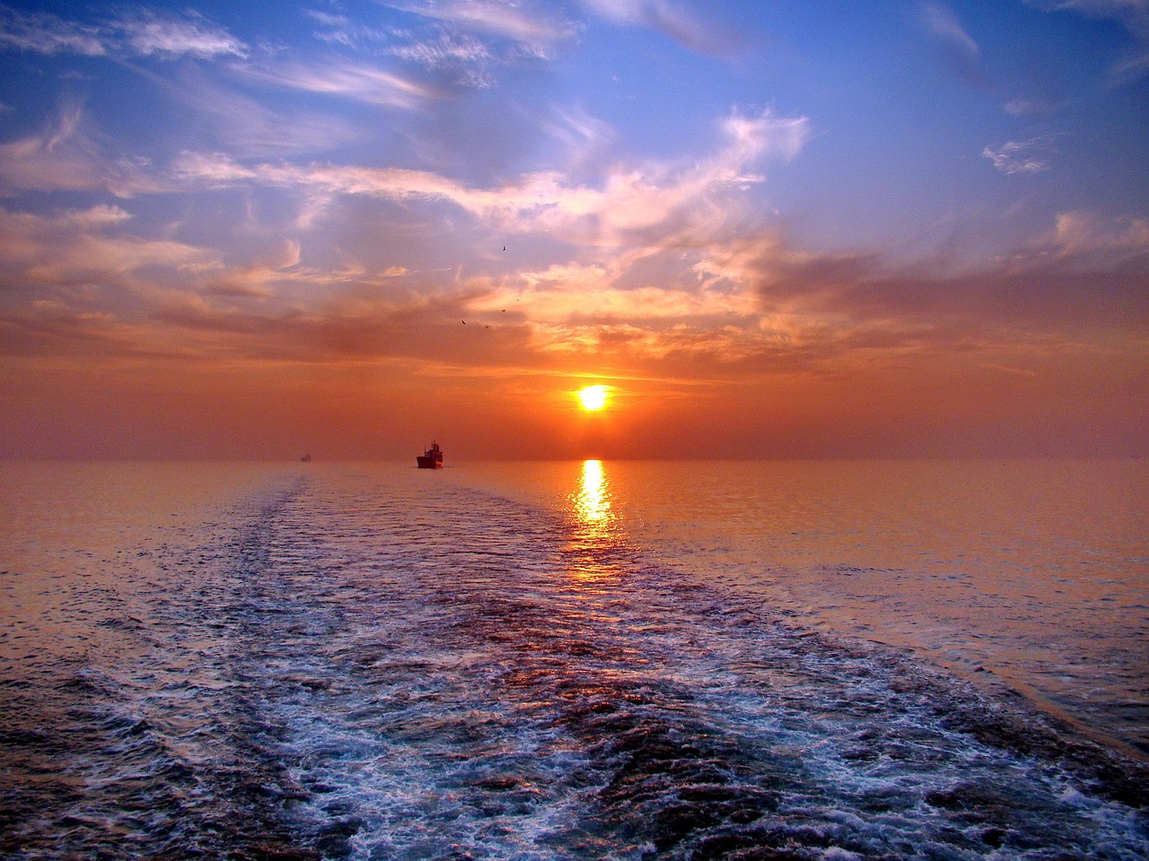 Vivre – **Éclosion Lo-Fi Organique et Envoûtante comme un Souffle de Renaissance Sonore**