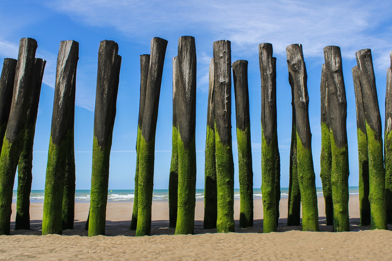 Zen dream – **Harmonie Lo-Fi Onirique et Transcendante comme un Souffle de Nirvana Sonore**