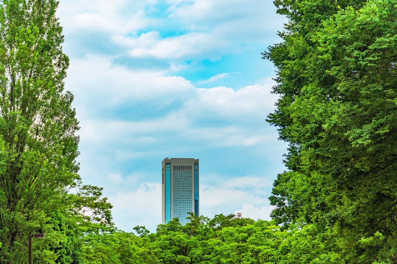 Zen dream – **Échappée Lo-Fi Hypnotique et Purificatrice comme une Brume de Nirvana Sonore**